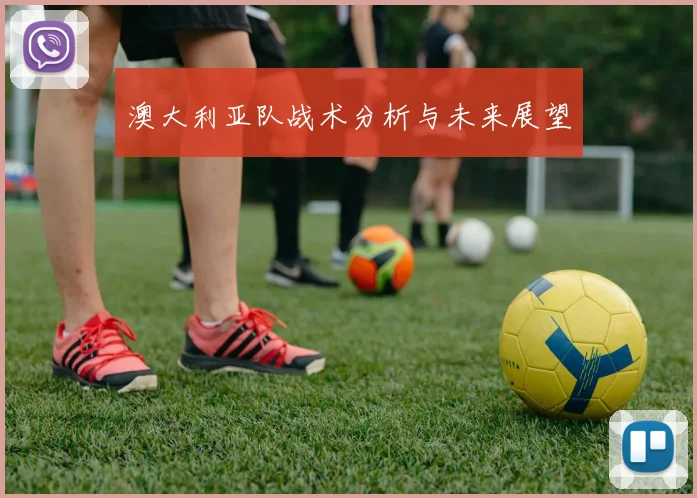 澳大利亚队战术分析与未来展望